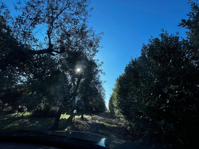 Prodaja,kuća u Italiji u kantonu Pulja