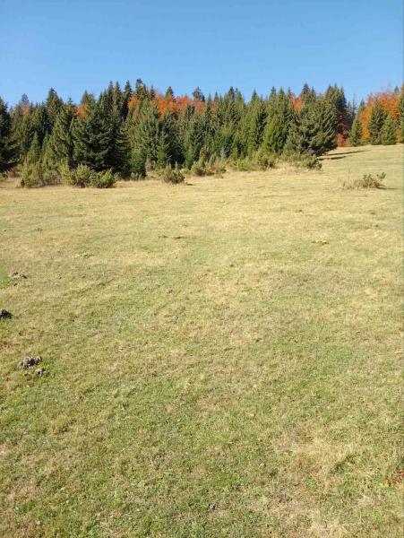  Prodaja, vikendica 77 M2 i 1700 M2 zemljišta u Kolašinu 200000 e