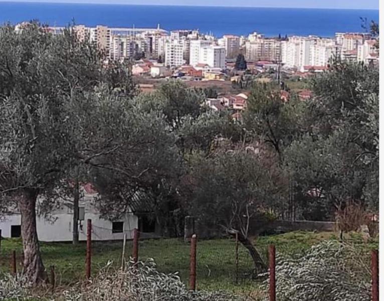 Prodaja, plac u Popovicima 1002 m2 145.000e