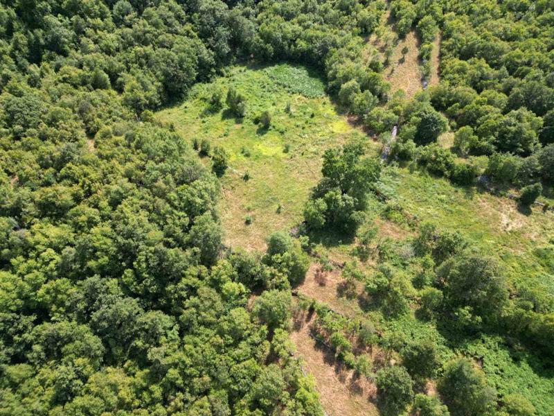 Prodaja, zemljište u Gluhom Dolu od 48.908 m2 65000e