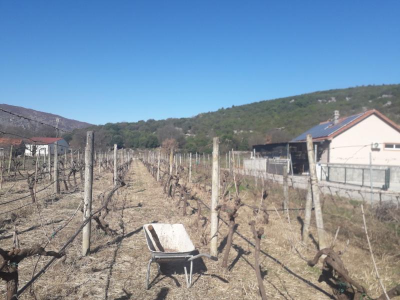 Prodaja, zemljište  od 1546 m2 u Berima , Podgorica